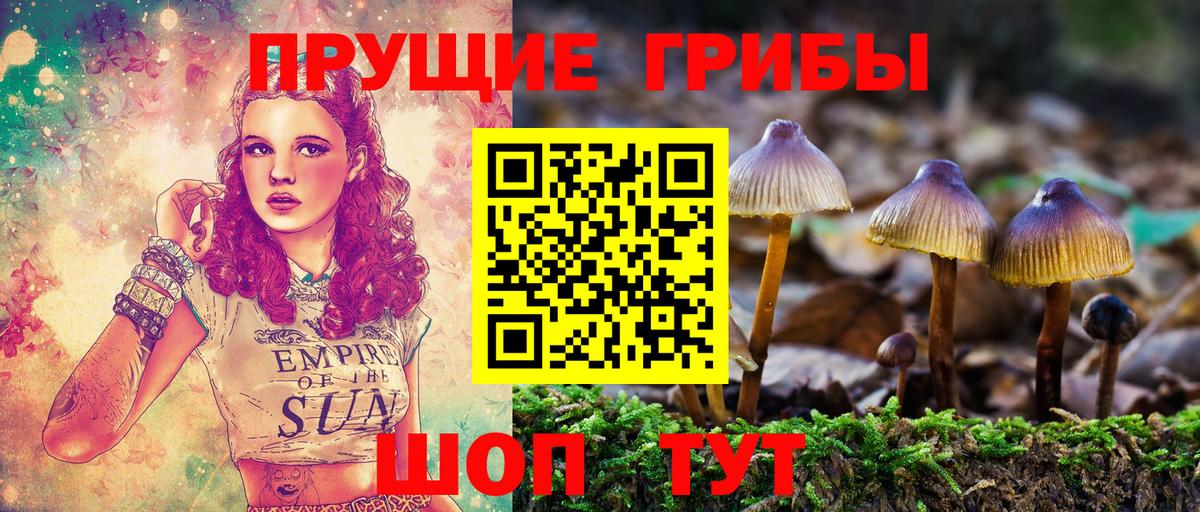 Галлюциногенные грибы прущие грибы Минеральные Воды